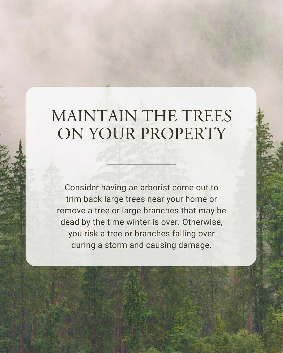 Maintain Trees